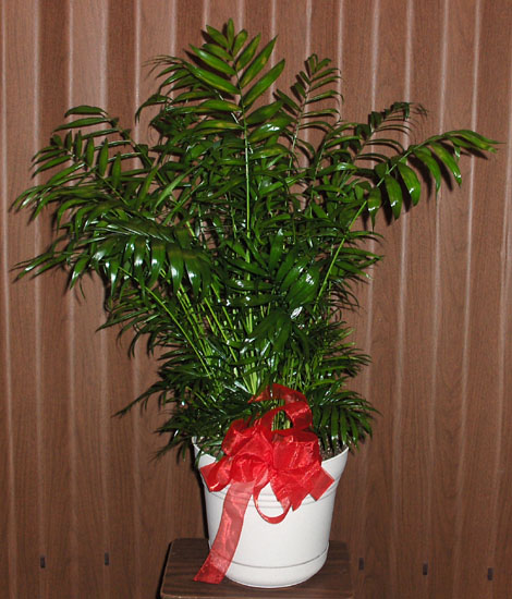 Flowers from Harlan, Lori, Chad & Haley Walker