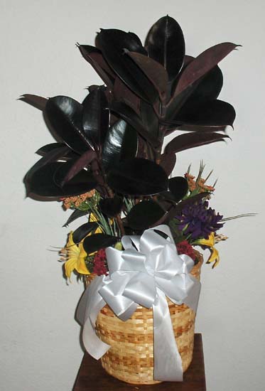 Flowers from Kathy Kirchner and Phil Soli