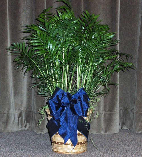 Flowers from John & Julie Lafferty
