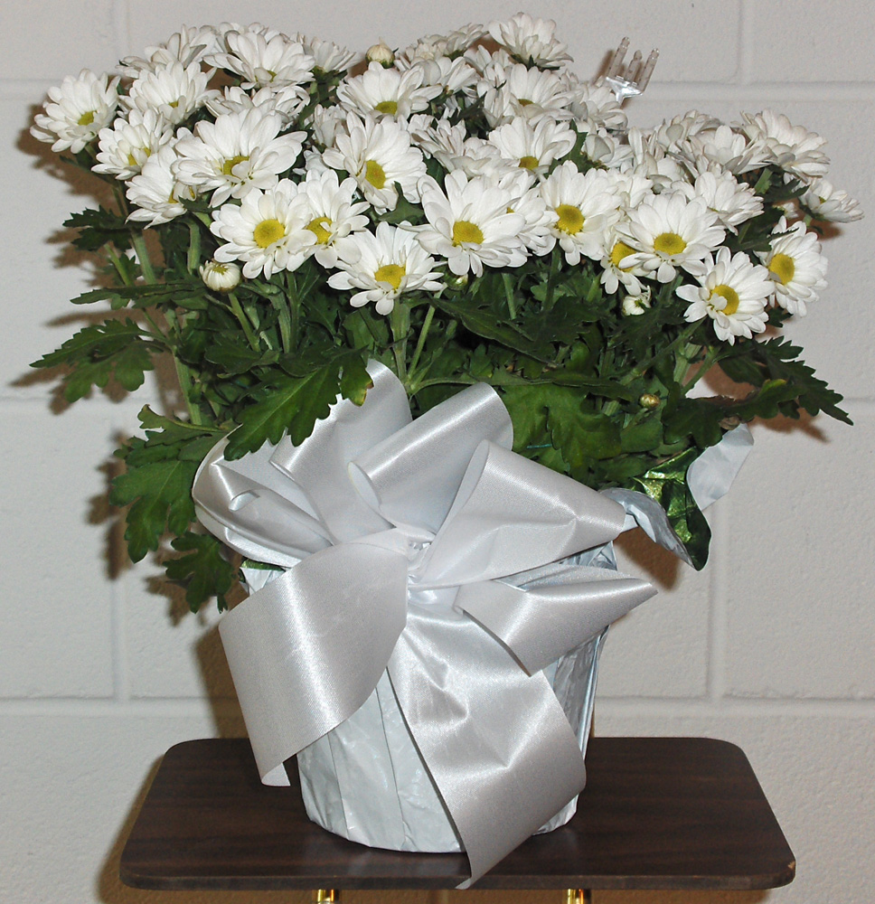 Flowers from Jim & Debbie Antonsen, Ashlee, Whitney and Emmylu