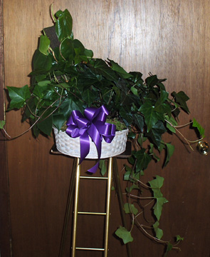 Flowers from Ketel - Thorstenson CPA