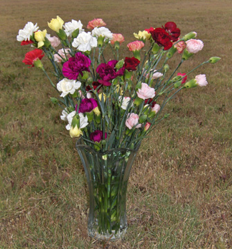 Flowers from ITBC Staff and Board of Directors