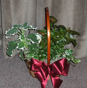 Flowers from Doug, Sharlene, Zack, and Isaac