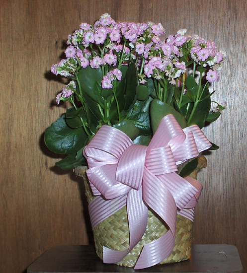 Flowers from Prairie Villa/Capital Area Refuse
