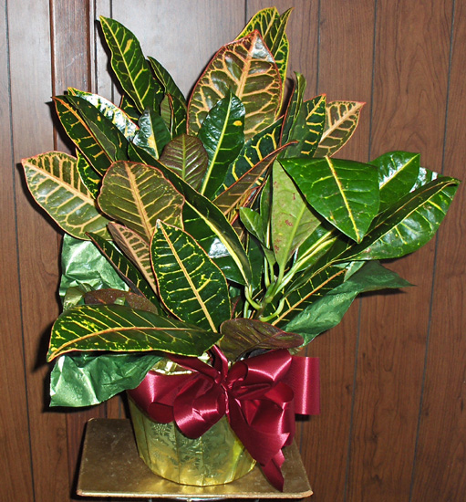 Flowers from Harry & Nancy Weller, Heath & Brandee Hauptmann and Family, Neal & Kendra Mastel and Family
