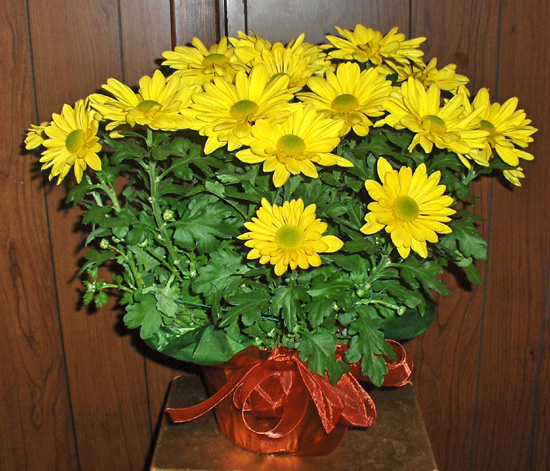 Flowers from Laurel Hildenbrand-Rusty Olney, Sauntee & Heidi, Jerica, Jadyn, Jyntre, and Jyrzee