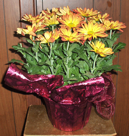 Flowers from Jim & Debbie, Ashlee, Whitney & Emmylu Antonsen