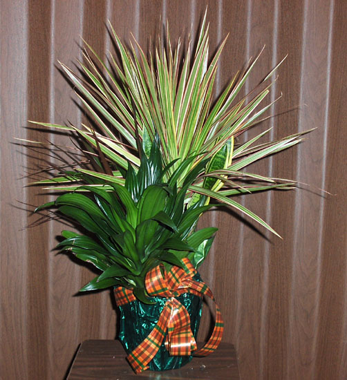 Flowers from South Dakota Department of Tourism and State Development