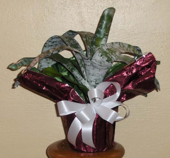 Flowers from Bill & Dena Buchholz and Kids