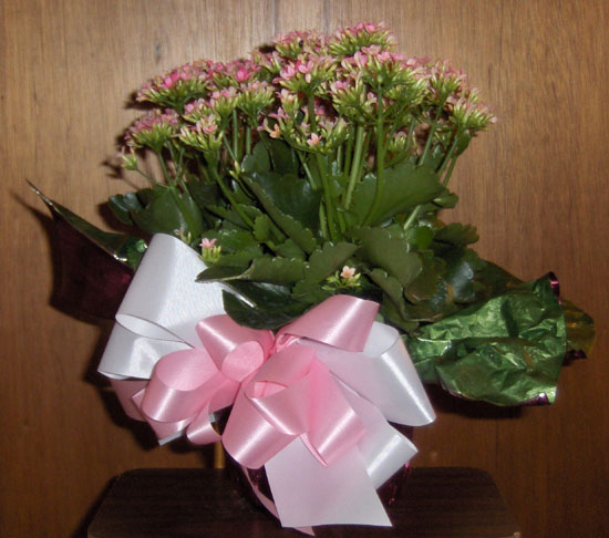 Flowers from Philip Health Services