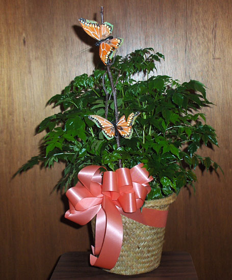 Flowers from Stulken, Petersen, Lingle & Walti