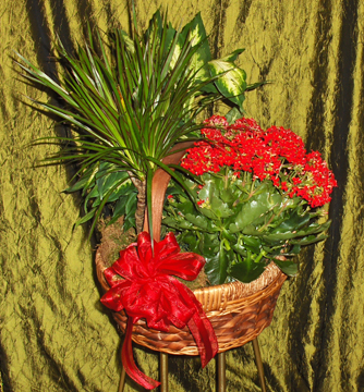 Flowers from Lois Shearn