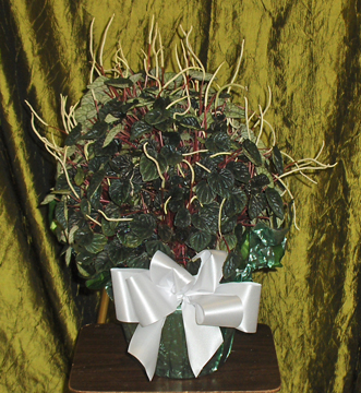 Flowers from Maurice & Cathie Handcock