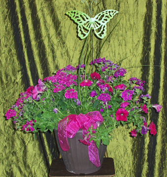 Flowers from Petals & Pots - Veryl & Juanita Schroeder and Family