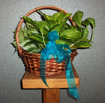 Flowers from The Staff and Students at St. Joseph Indian School