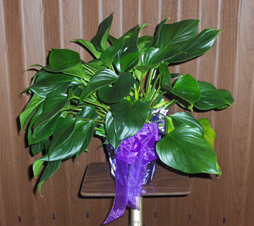 Flowers from Staff & Residents of Good Samaritan Center