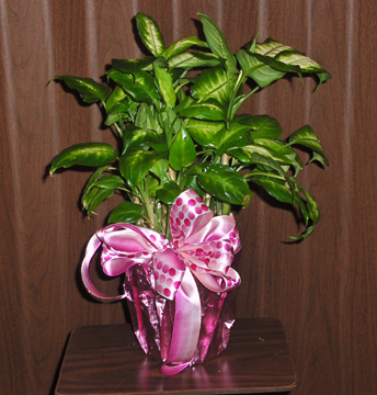 Flowers from Gene Kitterman Family