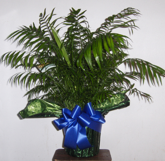 Flowers from Bob & Ginger Shutz