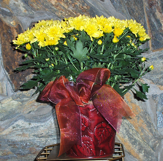 Flowers from Stearns Electric Staff and Board of Directors