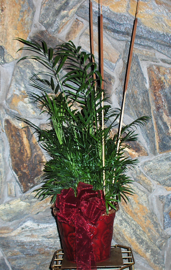 Flowers from Marty & Tricia Burns