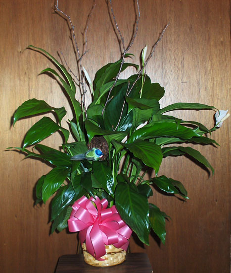 Flowers from Jory, Nan, Carter & Christian Kirchhevel