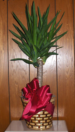 Flowers from Countryside Hospice Board Members and Staff