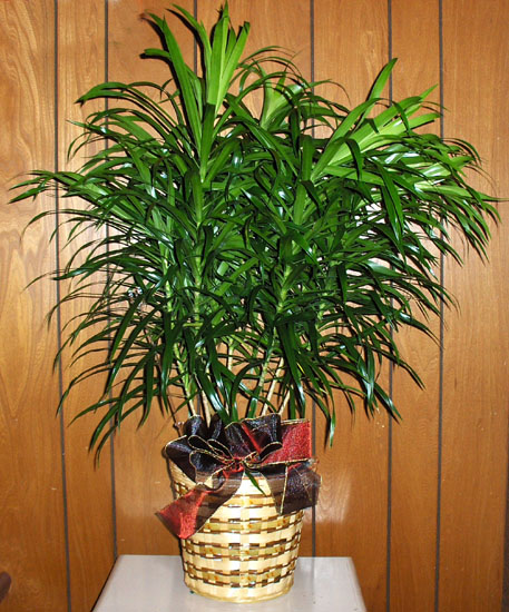Flowers from Randy & Dorothy Hermanson and Family