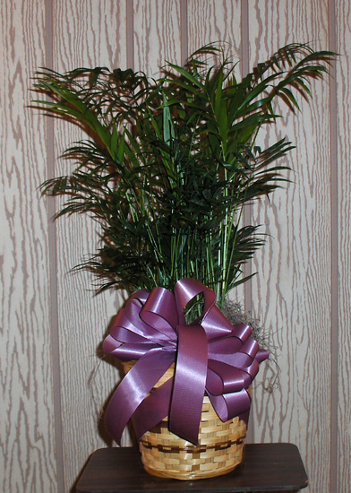 Flowers from Church Family at Bethel Assembly