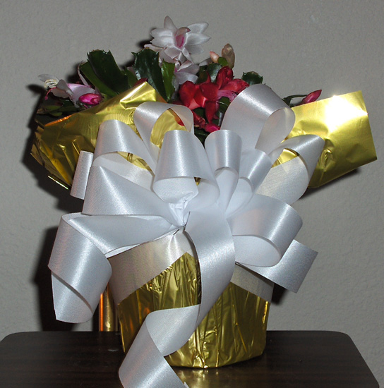 Flowers from John & Alisha Oldenberg