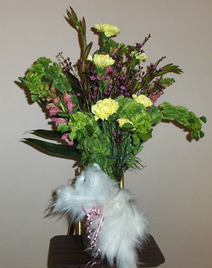 Flowers from The Fox Family