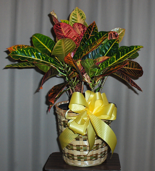 Flowers from South Dakota Firefighters Association Board