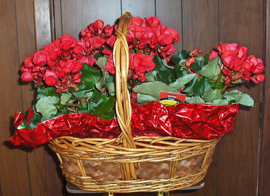 Flowers from Ed and Pat