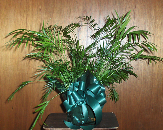 Flowers from Pat Willard and Irene King