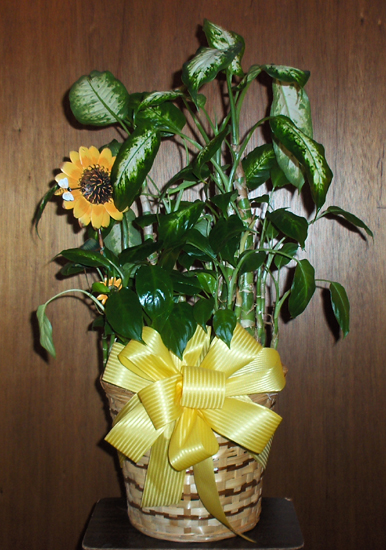 Flowers from Don and Karen Buckley