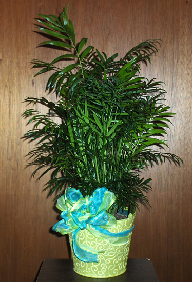 Flowers from Donald & Leona Barkus, Lela & Rodney Daniels, Valle & Kyle Hendren, Milo Buckley