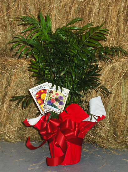 Flowers from Sunshine Fund of the Philip Schools