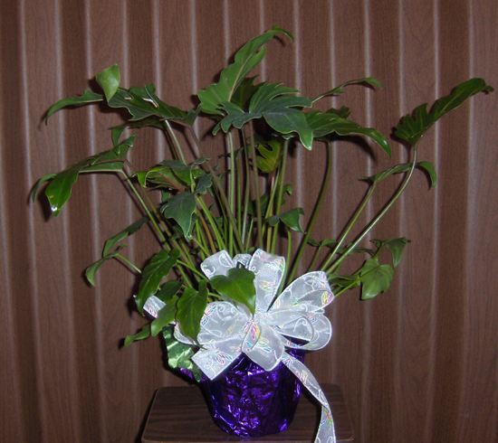 Flowers from Class of 1961