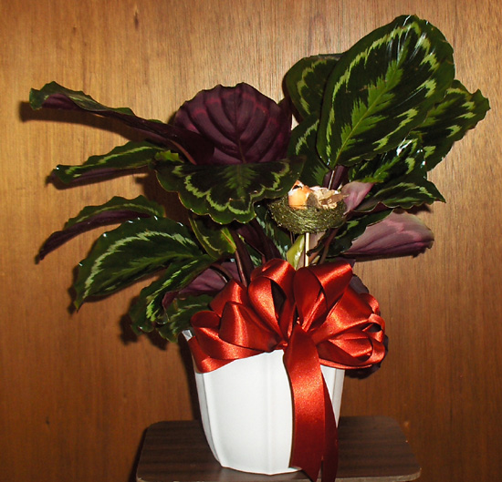 Flowers from Larry & Julie McLaughlin