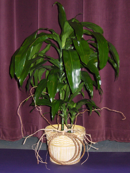 Flowers from KHS Class of 1969