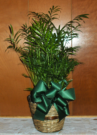 Flowers from Midwest Cooperatives - Philip Employees