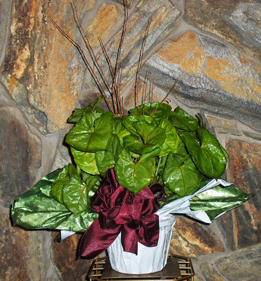 Flowers from Coleen & Loring Thompson