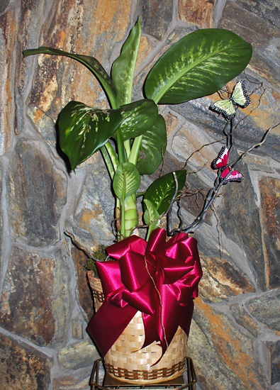 Flowers from Roping Ranger 4-H Club