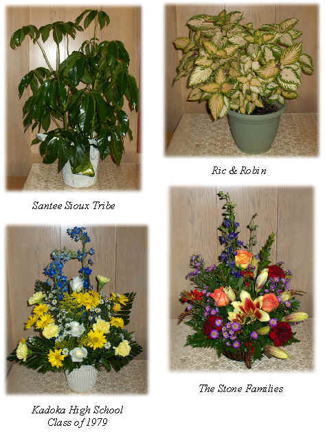 Flowers from 
