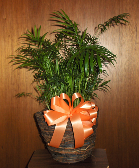 Flowers from Marty & Tricia Burns and Family