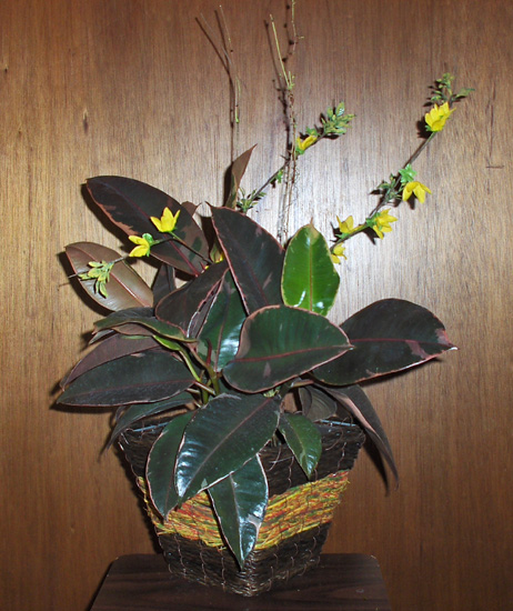 Flowers from Brady & Radka Daly and Family