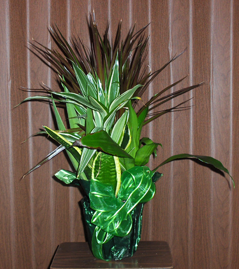 Flowers from   