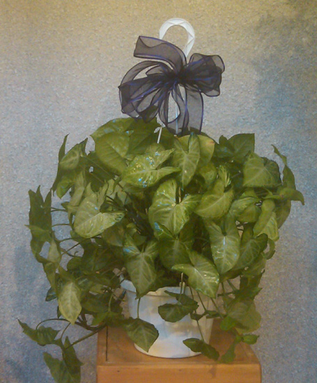 Flowers from Terri Harris and Family
