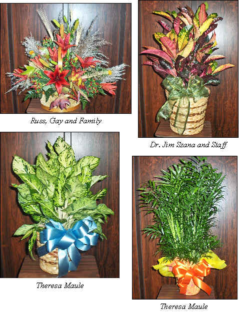 Flowers from 