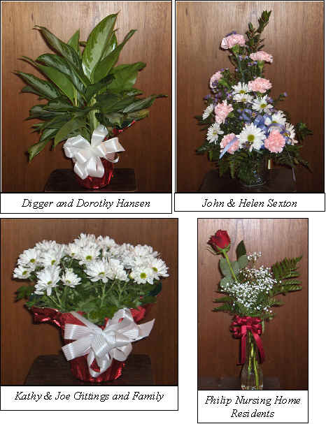 Flowers from 