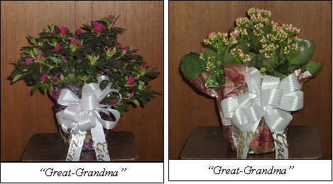 Flowers from 